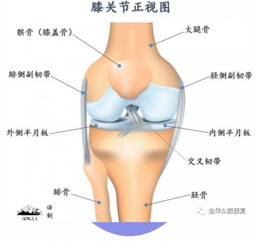 爬山、練太極會(huì)導(dǎo)致膝關(guān)節(jié)疼痛嗎？