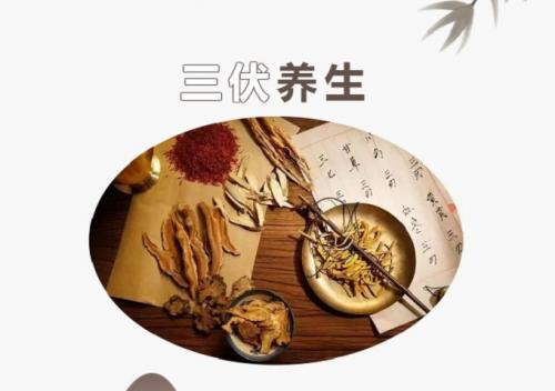 “冬病夏治”三伏貼+督脈灸，雙管齊下，護(hù)航健康